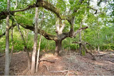 2669 NW Suwannee Valley Road, Lake City, FL 32055 - Photo 27