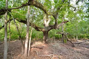 2669 NW Suwannee Valley Rd, Lake City, FL 32055 - Photo 27