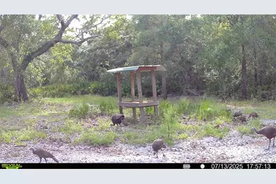 2669 NW Suwannee Valley Road, Lake City, FL 32055 - Photo 65