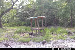 2669 NW Suwannee Valley Rd, Lake City, FL 32055 - Photo 65