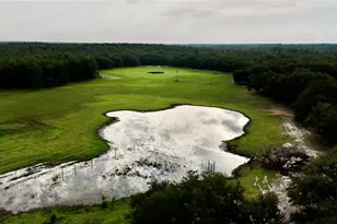 2669 NW Suwannee Valley Rd, Lake City, FL 32055 - Photo 21