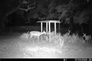 2669 NW Suwannee Valley Rd, Lake City, FL 32055 - Photo 61