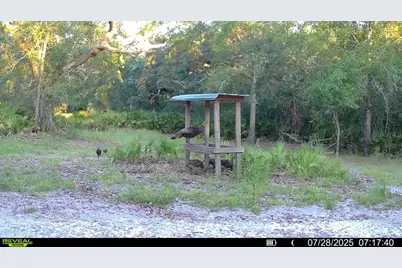 2669 NW Suwannee Valley Road, Lake City, FL 32055 - Photo 63