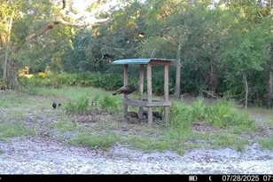 2669 NW Suwannee Valley Rd, Lake City, FL 32055 - Photo 63