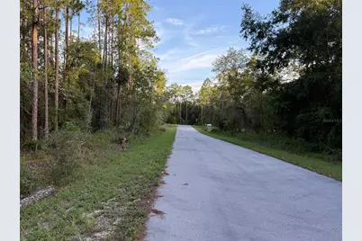 Tbd SW South Water Court, Dunnellon, FL 34431 - Photo 3