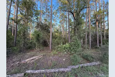 Tbd SW South Water Court, Dunnellon, FL 34431 - Photo 5