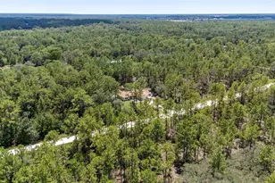 13160 SW 89th St, Dunnellon, FL 34432 - Photo 41