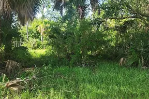 18185 Poston Ave, Port Charlotte, FL 33948 - Photo 1