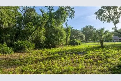 Tbd NE 303rd Court, Salt Springs, FL 32134 - Photo 5