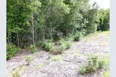 Lot 13 SW Rainbow Lakes Boulevard, Dunnellon, FL 34431 - Photo 5