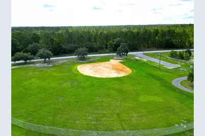 Lot 27 SW Pine Bluffs Road, Dunnellon, FL 34431 - Photo 9