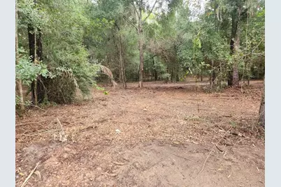 Lot 27 SW Pine Bluffs Road, Dunnellon, FL 34431 - Photo 13