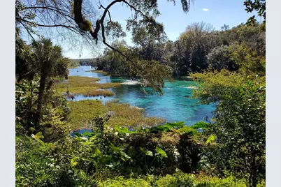 Lot 27 SW Pine Bluffs Road, Dunnellon, FL 34431 - Photo 11