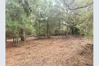 Lot 27 SW Pine Bluffs Road, Dunnellon, FL 34431 - Photo 15