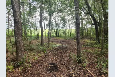 Lot 27 SW Pine Bluffs Road, Dunnellon, FL 34431 - Photo 21