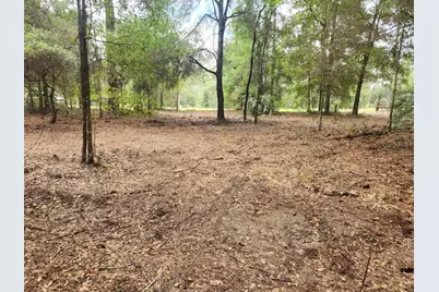 Lot 27 SW Pine Bluffs Road, Dunnellon, FL 34431 - Photo 19