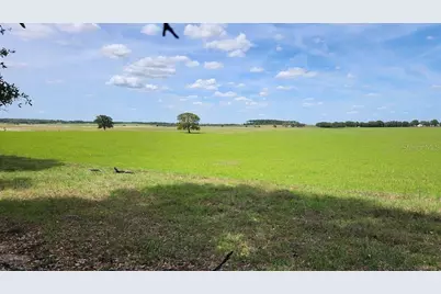 Lot 27 SW Pine Bluffs Road, Dunnellon, FL 34431 - Photo 11