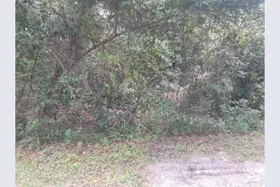 Tbd NW 172nd Place, Reddick, FL 32686 - Photo 5