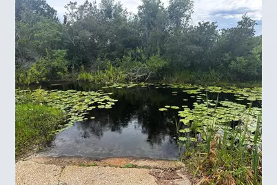 15225 NE 246th Avenue, Salt Springs, FL 32134 - Photo 85