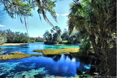 Lot 3 SW Nectarine Lane, Dunnellon, FL 34431 - Photo 11