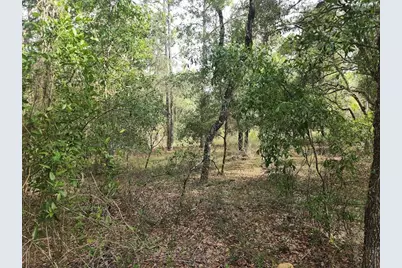 Lot 3 SW Nectarine Lane, Dunnellon, FL 34431 - Photo 9