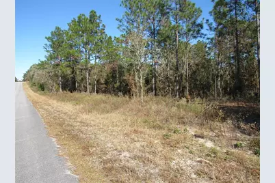 0000 SW Sands Pt Ave Lot 32, Dunnellon, FL 34431 - Photo 3
