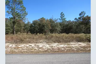 0000 SW Sands Point Ave Lot 38, Dunnellon, FL 34431 - Photo 3