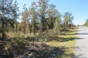 0000 SW Plaza Ct Ct, Dunnellon, FL 34431 - Photo 1