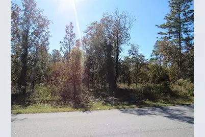 0000 SW Plaza Court Court, Dunnellon, FL 34431 - Photo 3