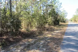 0000 SW Beaver Dr, Dunnellon, FL 34431 - Photo 1