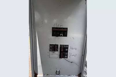 23939 NE 121st Lane, Salt Springs, FL 32134 - Photo 29