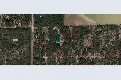 Tbd NE 118th Lane, Bronson, FL 32621 - Photo 1