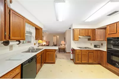 16789 SE 69th Lane, Ocklawaha, FL 32179 - Photo 13