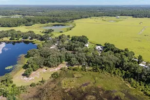 16789 SE 69 Ln, Ocklawaha, FL 32179 - Photo 53