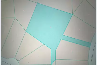 Tbd SW 109 Loop, Ocala, FL 34476 - Photo 11