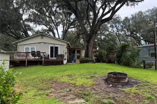 20930 NE 142nd Pl, Salt Springs, FL 32134 - Photo 7