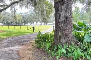 11105 N US Hwy 27, Ocala, FL 34482 - Photo 7