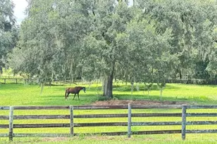 11105 N US Hwy 27, Ocala, FL 34482 - Photo 51