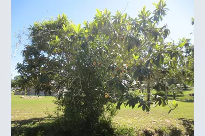 Se 35th Ln, Ocklawaha, FL 32179 - Photo 13