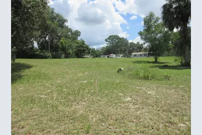 Se 35th Ln, Ocklawaha, FL 32179 - Photo 5