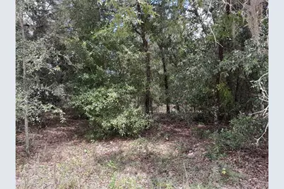 91 SE 142nd Terrace, Williston, FL 32696 - Photo 3