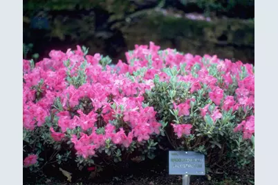 8373 SW 82nd Loop, Ocala, FL 34481 - Photo 59