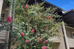 2415 NE 7th St, Ocala, FL 34470 - Photo 3