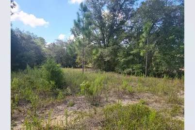 Lot 21 SW Rainbow Lakes Boulevard, Dunnellon, FL 34431 - Photo 1