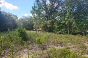 Lot 21 SW Rainbow Lakes Blvd, Dunnellon, FL 34431 - Photo 1