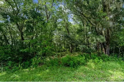 Tbd SW Shorewood Drive, Dunnellon, FL 34431 - Photo 11