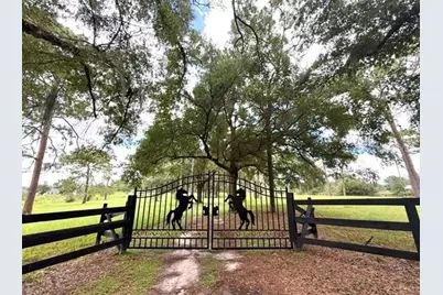 7555 SW 77th Place, Ocala, FL 34476 - Photo 3