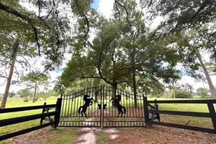 7555 SW 77 Pl, Ocala, FL 34476 - Photo 3