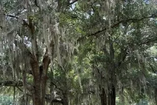 7555 SW 77 Pl, Ocala, FL 34476 - Photo 27