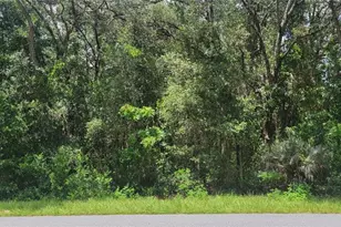0 SW Beach Blvd, Dunnellon, FL 34431 - Photo 1